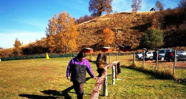 areál cvičiště pod lípou v Nepomyšli_n.jpg